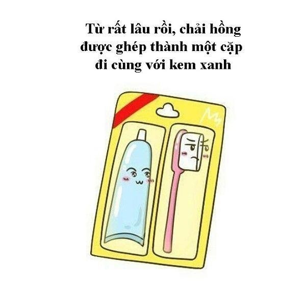 Chàng và nàng được cô chủ mua về cùng lúc với nhau.